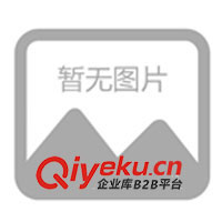 誠招雞精、雞精粉系列代理加盟 調味品 調料